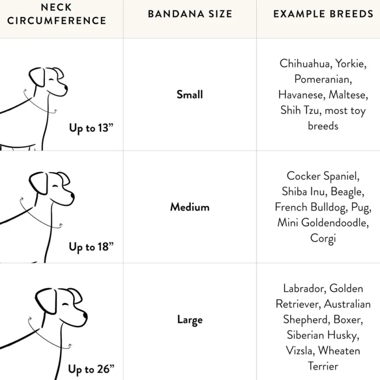Tennis Applique Dog Bandana