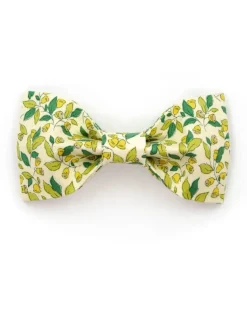 The Carol Dog Bowtie