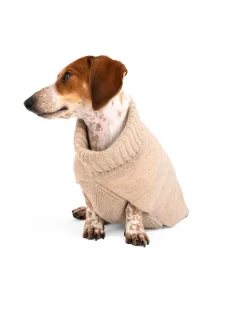 The Cashmere Puffer Dog Sweater in Tan