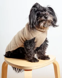 The Cashmere Puffer Dog Sweater in Tan