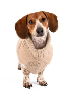 The Cashmere Puffer Dog Sweater in Tan
