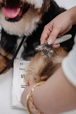 The Dematting Comb for Dogs