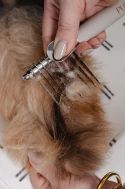 The Dematting Comb for Dogs