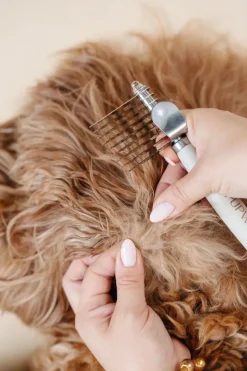 The Dematting Comb for Dogs