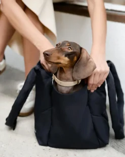 The Destination Pet Carrier Tote (Enclosed)
