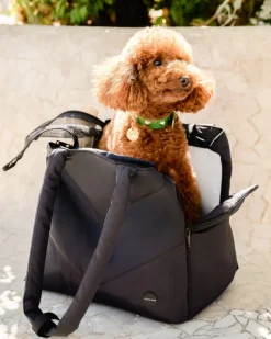 The Destination Pet Carrier Tote (Enclosed)