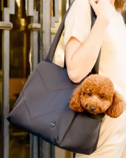 The Destination Pet Carrier Tote (Enclosed)