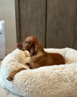 The Franklin Dog Bed in Fluffernutter (Direct-Ship)