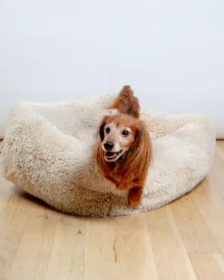 The Franklin Dog Bed in Fluffernutter (Direct-Ship)