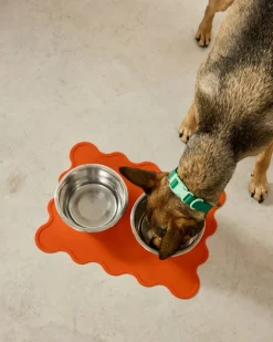 The Fritz Silicone Dog Placemat
