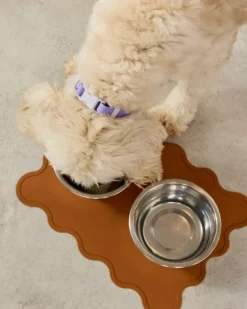 The Fritz Silicone Dog Placemat