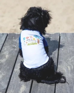 *The Hamptons* Graphic Dog T-Shirt in Surf Blue