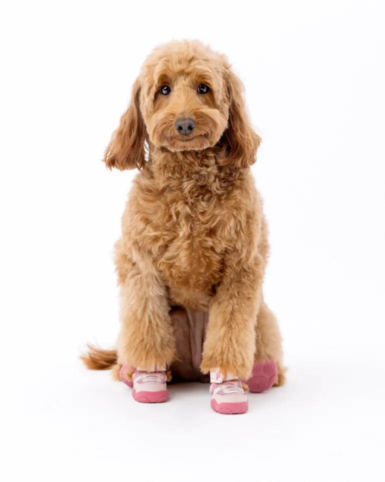 The Kai - Protective Footwear for Dogs in Black or Pink