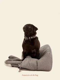 The Little Beast Dog Carrier in Noir