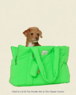 The Little Beast Dog Carrier in Jackpot