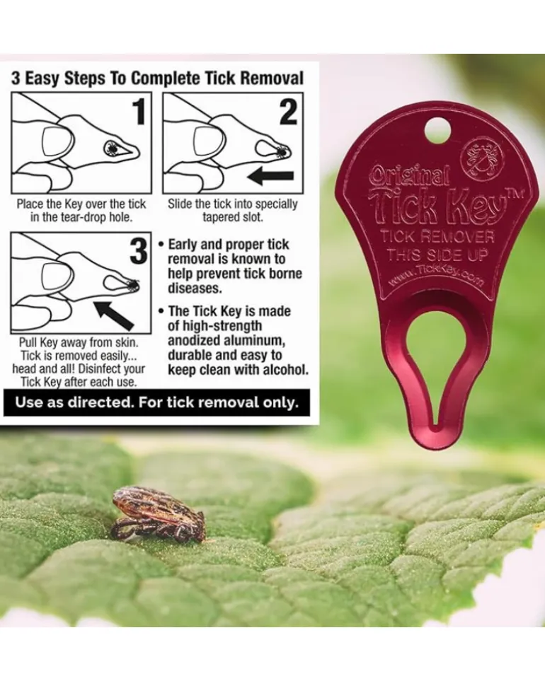The Original Tick Key (Made in the USA)