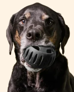 The Power Chewer Pupsicle Enrichment Dog Toy