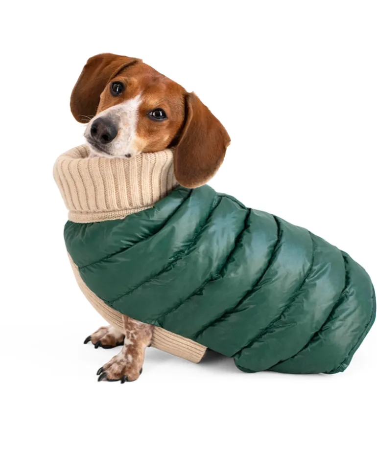 The Puffer Dog Sweater in Tan & Green