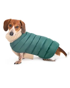 The Puffer Dog Sweater in Tan & Green