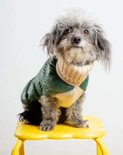 The Puffer Dog Sweater in Tan & Green
