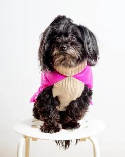 The Puffer Dog Sweater in Tan & Pink
