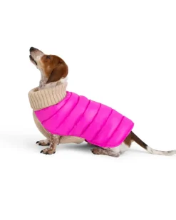 The Puffer Dog Sweater in Tan & Pink