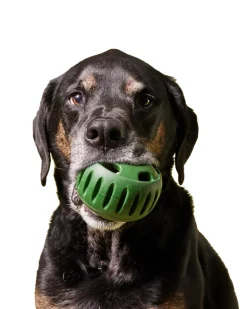 The Pupsicle Enrichment Dog Toy