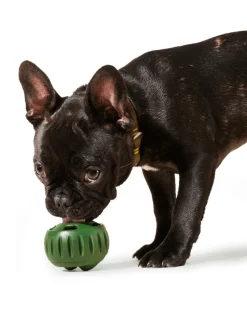 The Pupsicle Enrichment Dog Toy