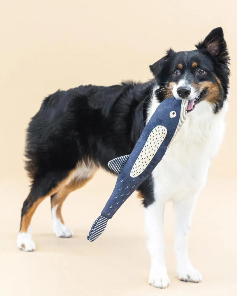 There She Blows Canvas Whale Dog Toy