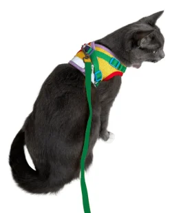 "The True Adventurer" Reflective Cat & Kitten Harness and Leash in Multicolor