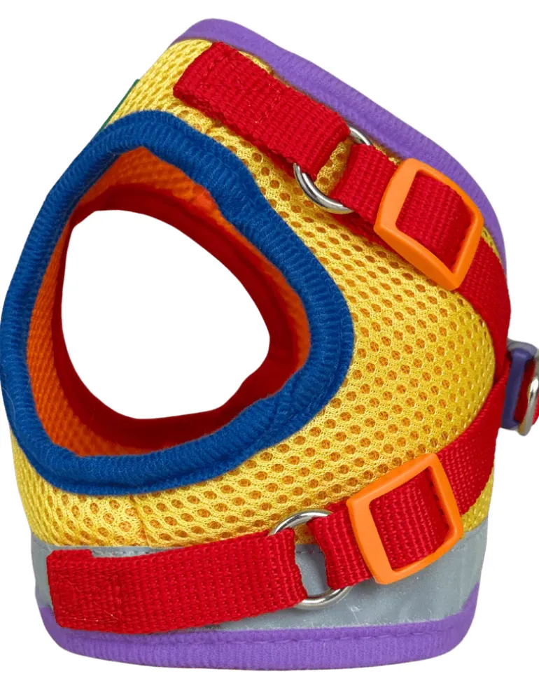 "The True Adventurer" Reflective Cat & Kitten Harness and Leash in Multicolor