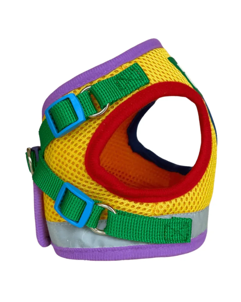 "The True Adventurer" Reflective Cat & Kitten Harness and Leash in Multicolor