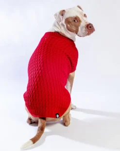 The Uptown Cable Knit Sweater in Red Cotton (Made in NYC)