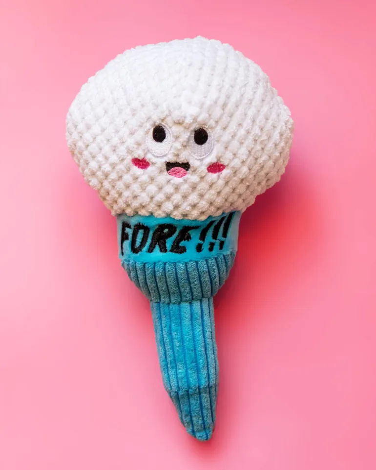 Today is Teerific Plush Squeaky Dog Toy