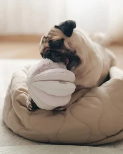 Toto Squeaky Interactive Snuffle Ball