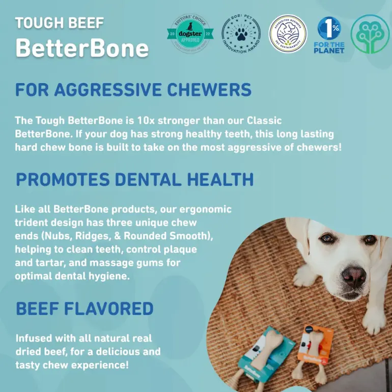 TOUGH All Natural Eco-Friendly Dog Chew Toy (Beef Flavor - Hard)
