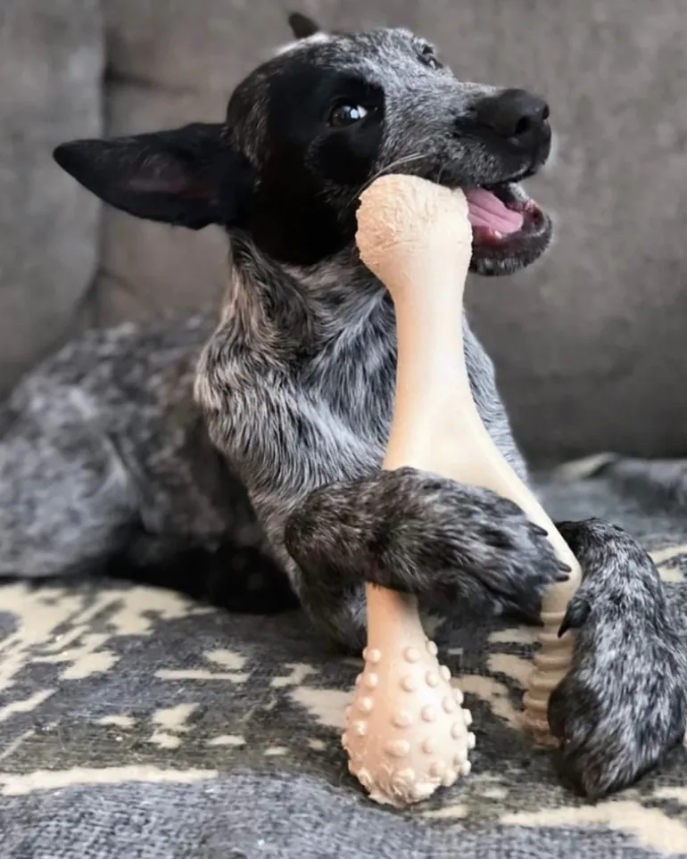 TOUGH All Natural Eco-Friendly Dog Chew Toy (Beef Flavor - Hard)
