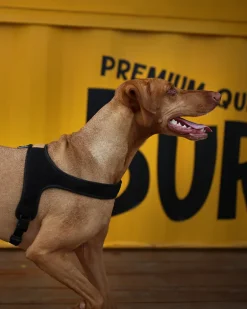 Town Slip-On Dog Harness