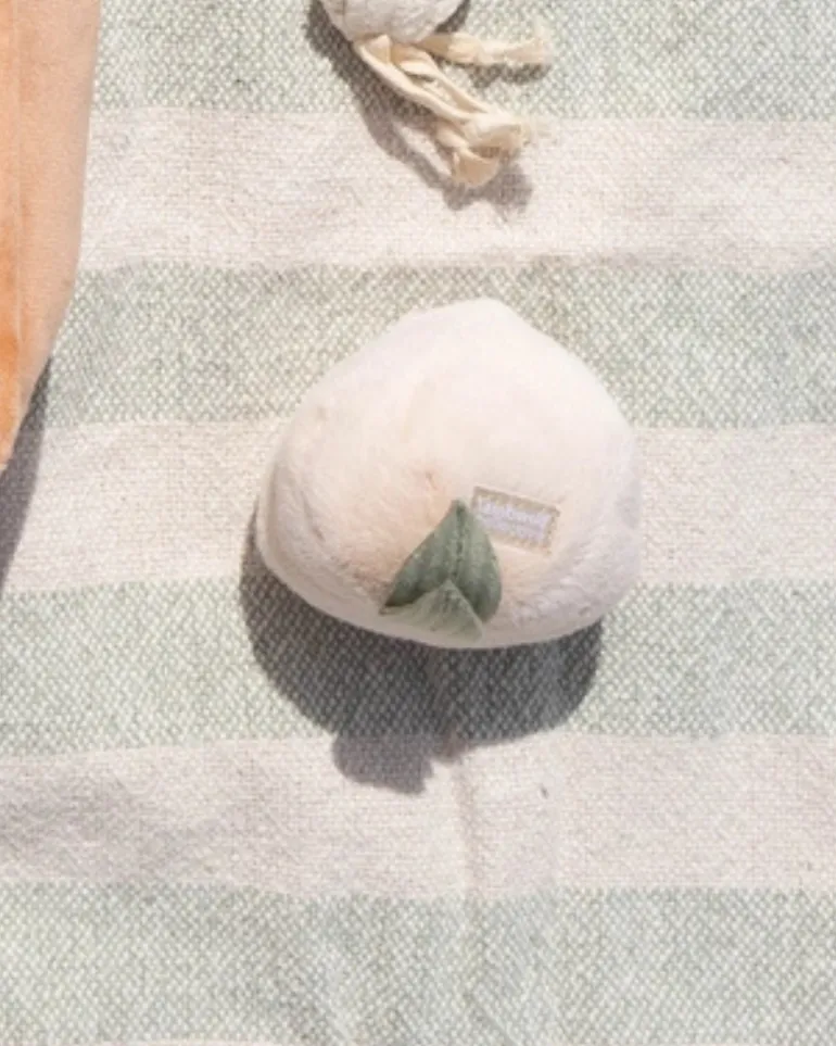 Turnip Squeaky Plush Toy for Dogs