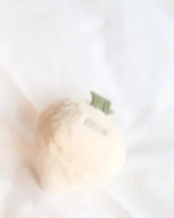 Turnip Squeaky Plush Toy for Dogs