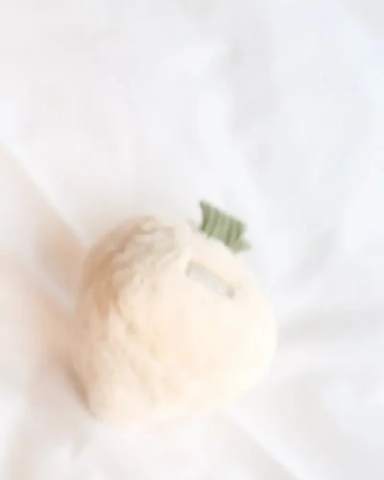 Turnip Squeaky Plush Toy for Dogs