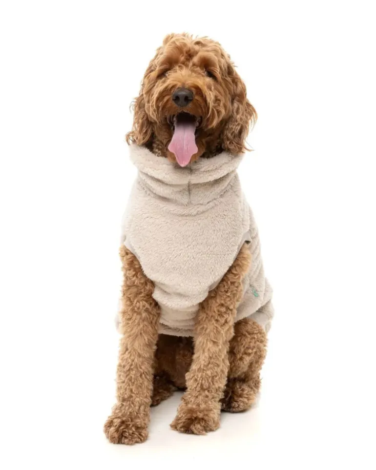 Turtle Teddy Dog Fleece in Beige