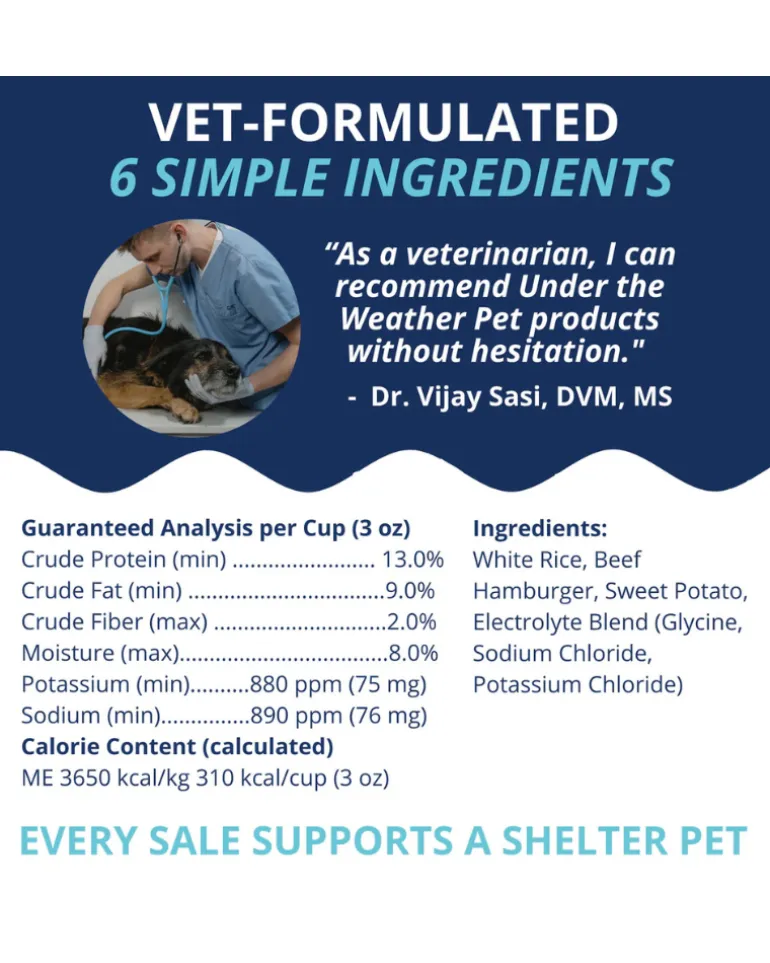 Under the Weather Bland Diet Dog Meal