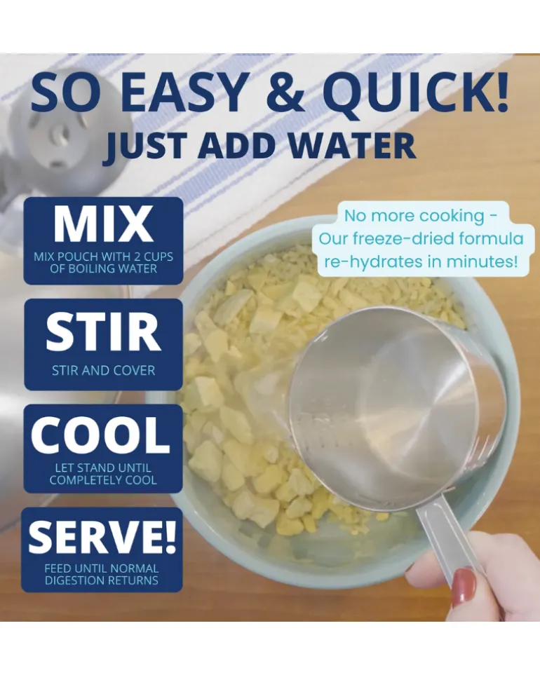 Under the Weather Bland Diet Dog Meal