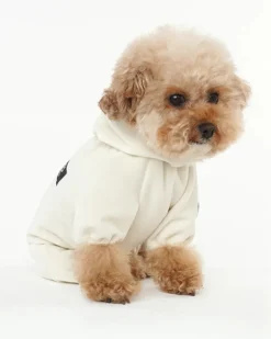 Velour Coverall Onesie for Dogs - Dachshund Fit (in Purple, Ivory, or Black)