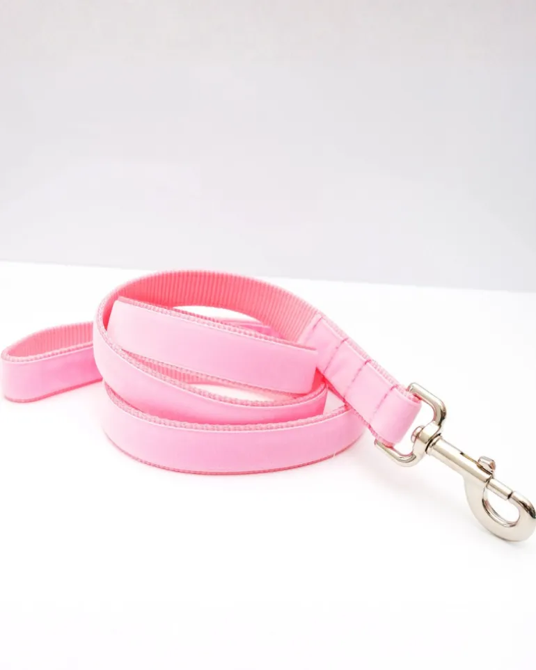 Velvet Dog Leash Petal Pink (Made in the USA)