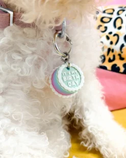Vintage Birthday Cake Pet Tag