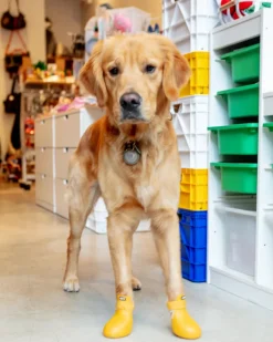 WagWellies Waterproof Dog Boots (in Green, Yellow, Pink, or Bone)