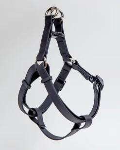 Walk in the Park Waterproof Dog Harness in Black (Made in the USA)