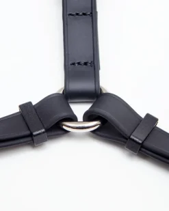 Walk in the Park Waterproof Dog Harness in Black (Made in the USA)